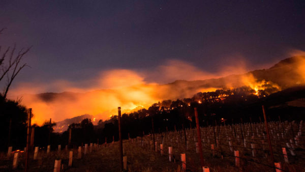 Something New: Climate Change & Wine